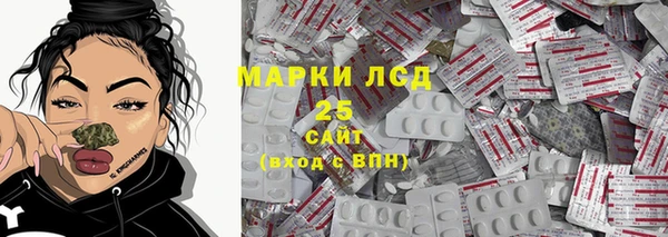 ГАЛЛЮЦИНОГЕННЫЕ ГРИБЫ Алексин